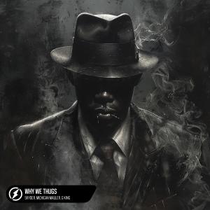 ดาวน์โหลดและฟังเพลง Why We Thugs (Explicit) พร้อมเนื้อเพลงจาก Skyder