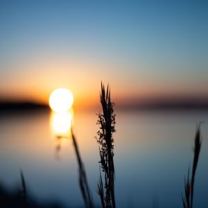 Listen to Breathe song with lyrics from Spa Music Relaxation