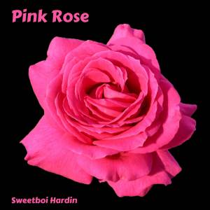 收聽Sweetboi Hardin的Pink Rose歌詞歌曲