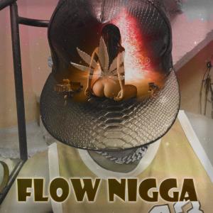 Listen to Flow Nigga (Explicit) song with lyrics from Ernesto Djfaster