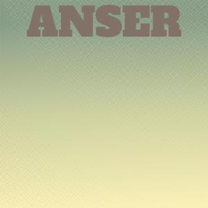 收聽Reggy Maasa的Anser歌詞歌曲