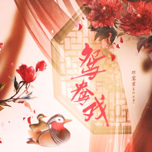 Album 鸳鸯戏 (格格驾到1.31) from 邓寓君(等什么君)