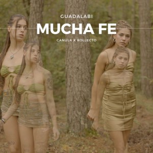 Album Mucha Fe from Meis