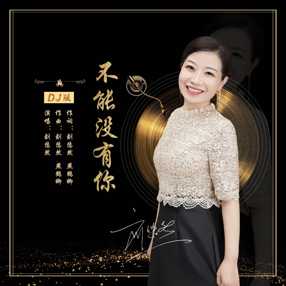 不能没有你（DJ沈念版） (伴奏)