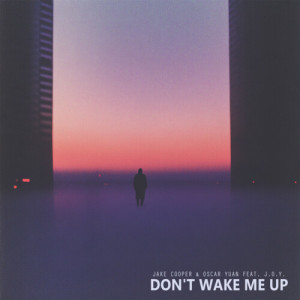 Listen to Don't Wake Me Up song with lyrics from Jake Cooper
