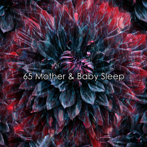 Ocean Sounds Collection的专辑65 Mother & Baby Sleep