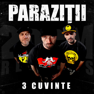 收听Parazitii的3 Cuvinte (Explicit)歌词歌曲
