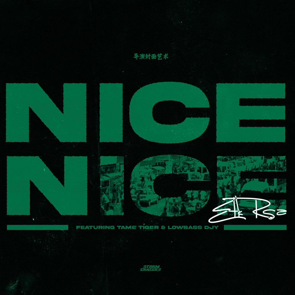 Nice Nice (feat. Lowbass Djy & Tame Tiger)