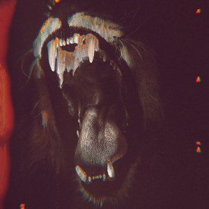 ดาวน์โหลดและฟังเพลง Dogs พร้อมเนื้อเพลงจาก Pronoia