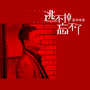 收听望海高歌的逃不掉忘不了歌词歌曲