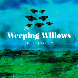 收聽Weeping Willows的Butterfly歌詞歌曲