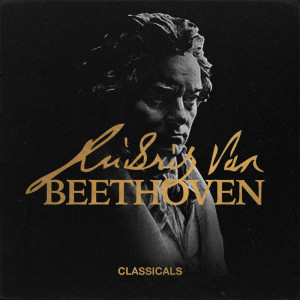 ดาวน์โหลดและฟังเพลง Minuet in G Major พร้อมเนื้อเพลงจาก Ludwig van Beethoven