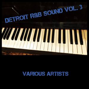 Album Detroit R&B Sound, Vol. 3 from Various