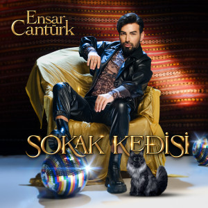 Album Sokak Kedisi from Ensar Cantürk