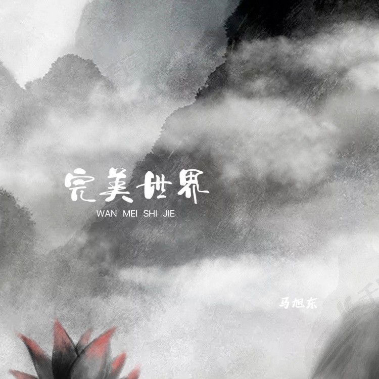 完美世界 (伴奏)