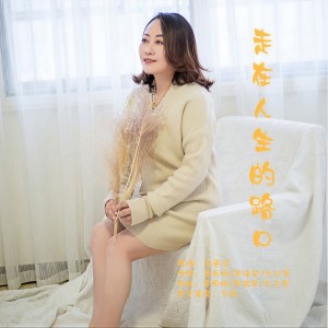 收聽王愛華的走在人生的路口 (完整版)歌詞歌曲