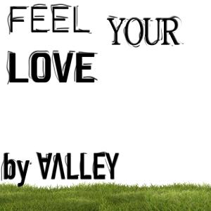 Album FEEL YOUR LOVE from Valley