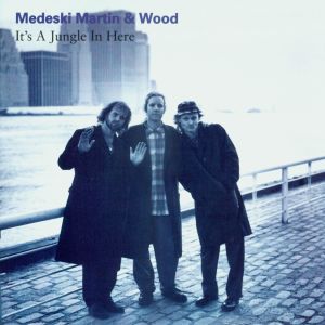 อัลบัม It's A Jungle In Here ศิลปิน Medeski Martin & Wood