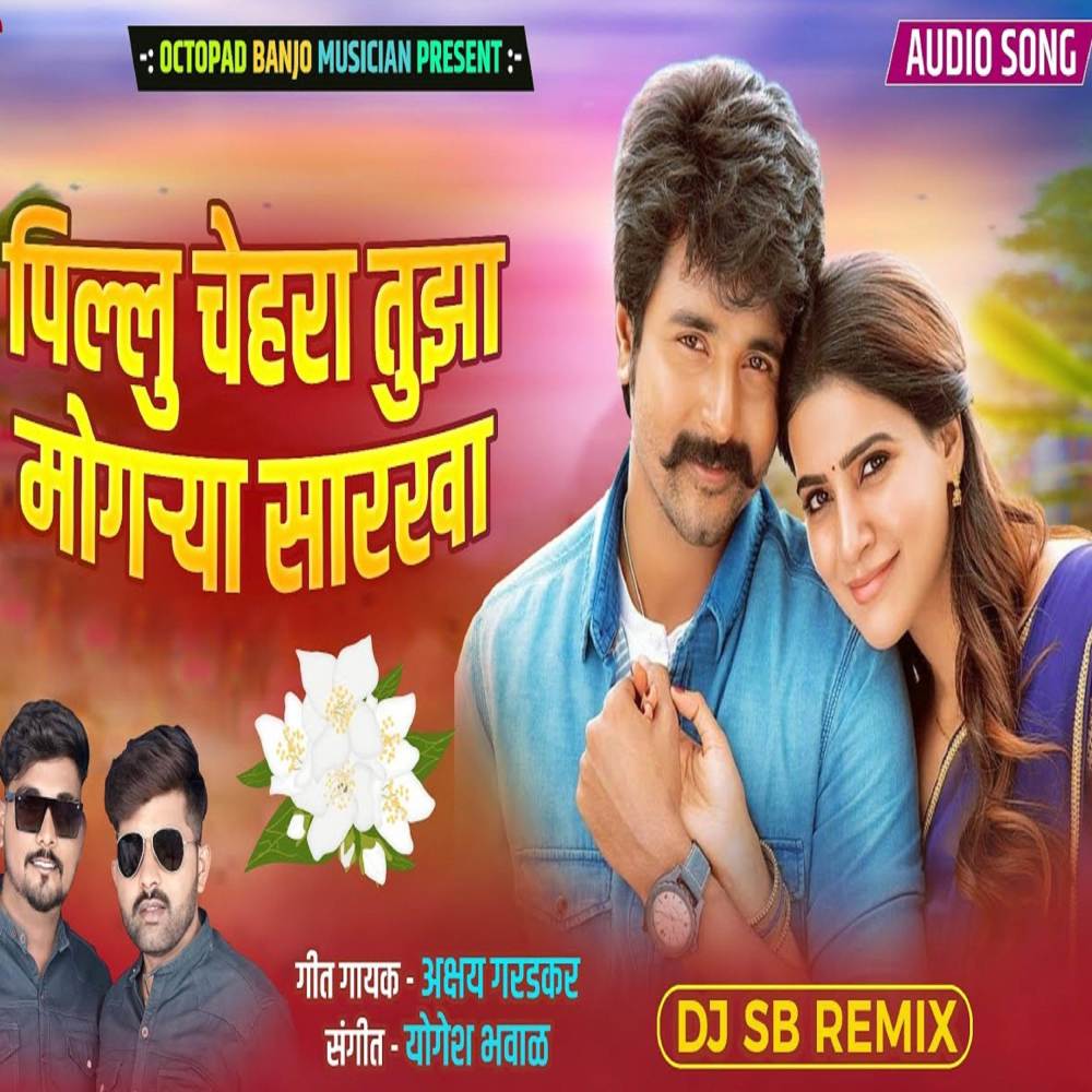 Pillu Tuza Chehara Mogarya Sarkha