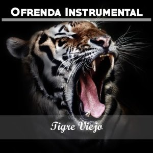 收聽Orquesta típica Julio De Caro的Todo Corazón歌詞歌曲