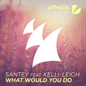 收聽SANTEY的What Would You Do (Extended Mix)歌詞歌曲