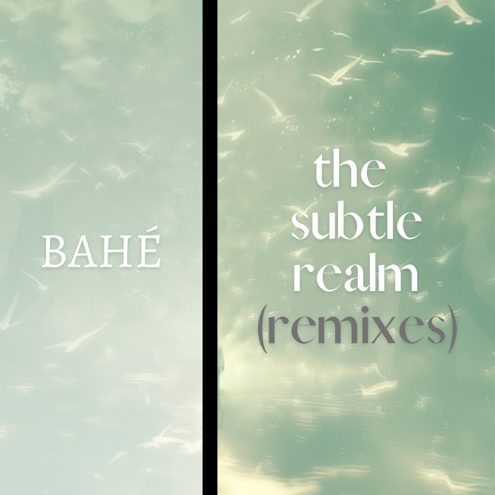 The Subtle Realm (Casis Remix)