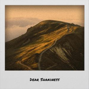 Album Dear Shakiness from Alon Tint