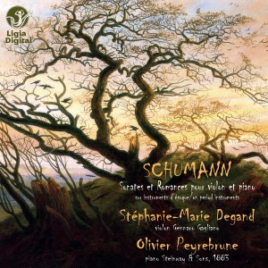 收聽Stéphanie-Marie Degand的Violin Sonata No. 2 in D Minor, Op. 121: III. Leise, einfach歌詞歌曲