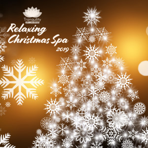 Listen to Peaceful Song song with lyrics from Tranquility Spa Universe