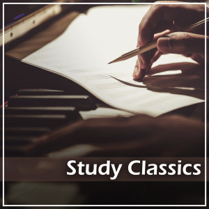Mozart的專輯Mozart: Study Classics