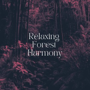 Relaxing Forest Harmony dari Outside HD Samples