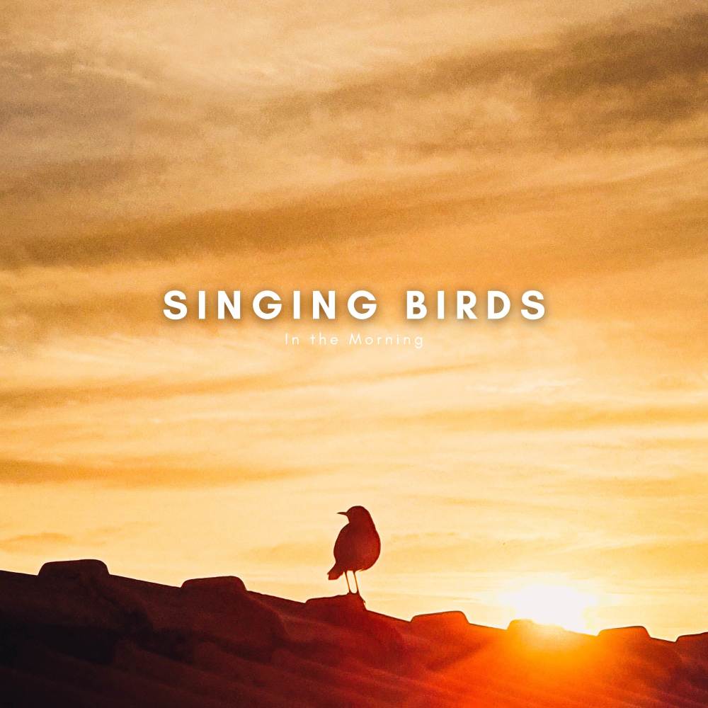 Singing Birds