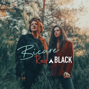 Listen to Biçare song with lyrics from RednBlack