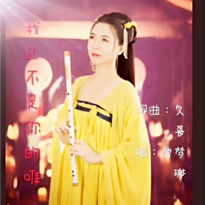 Listen to 我已不是你的唯一 伴奏 (完整版) song with lyrics from 久哥