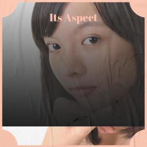Various Artists的專輯Its Aspect