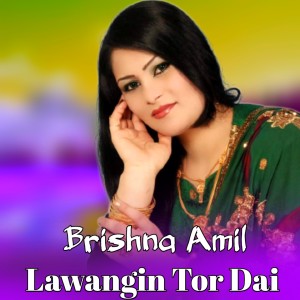 Listen to Dastan Tapi Da Marg Awaz song with lyrics from Brishna Amil
