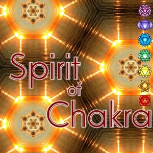 Various Artists的專輯Spirit Of Chakra