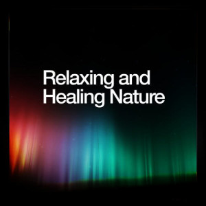 ดาวน์โหลดและฟังเพลง By the Stream พร้อมเนื้อเพลงจาก Relaxing and Healing Sounds of Nature