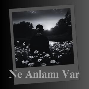 Odry G的專輯Ne Anlamı Var (Explicit)