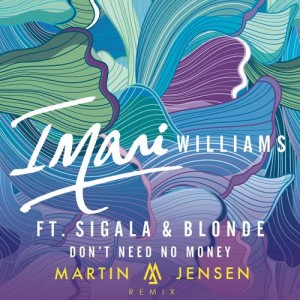 收聽Imani Williams的Don't Need No Money (Martin Jensen Remix Edit)歌詞歌曲