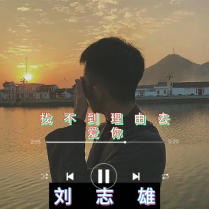 Album 找不到理由去爱你 from 刘志雄