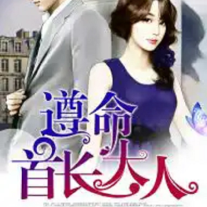 Peter_hy的专辑遵命，首长大人