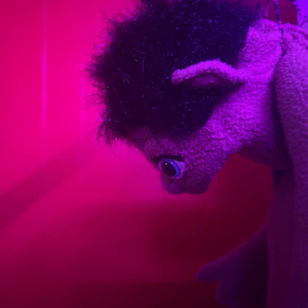 I DONT CARE! (Explicit)
