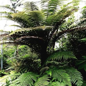 Dengarkan lagu Delta Ocean nyanyian Sounds of Nature Noise dengan lirik