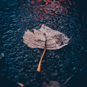 Listen to Rainstorm (Loopable) song with lyrics from Soothing Sleep Sounds
