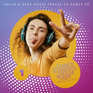 Various Artists的專輯The Dance Elements: House & Deep, Vol. 1