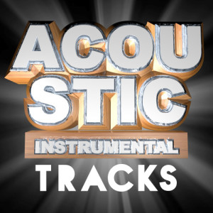 อัลบัม Acoustic Instrumental Tracks ศิลปิน Guitar Masters