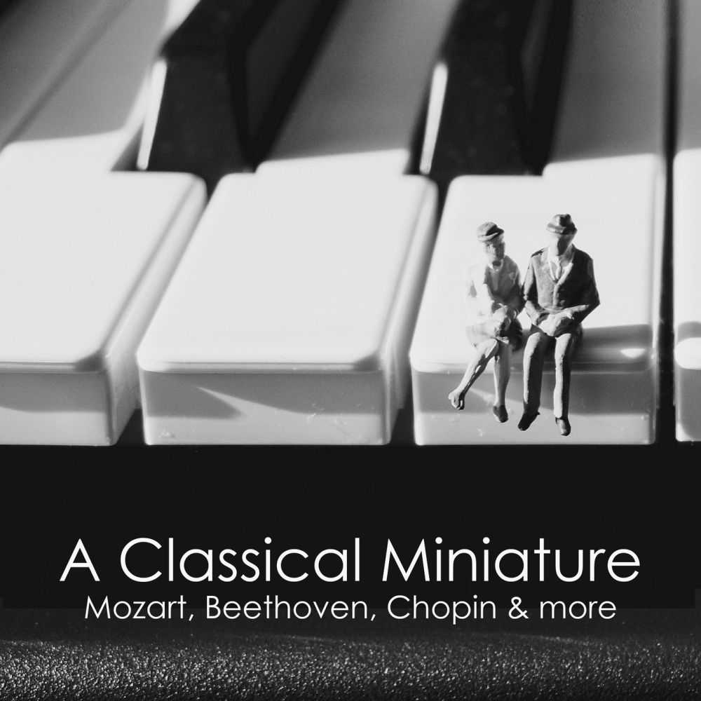 Mozart: 12 Variations for Violin and Piano on "La bergère Célimène", K. 359: Var. 11. Adagio