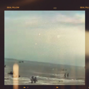 ดาวน์โหลดและฟังเพลง อยากให้ พร้อมเนื้อเพลงจาก Seal Pillow