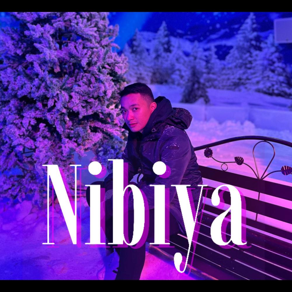 Nibiya slowed + reverb